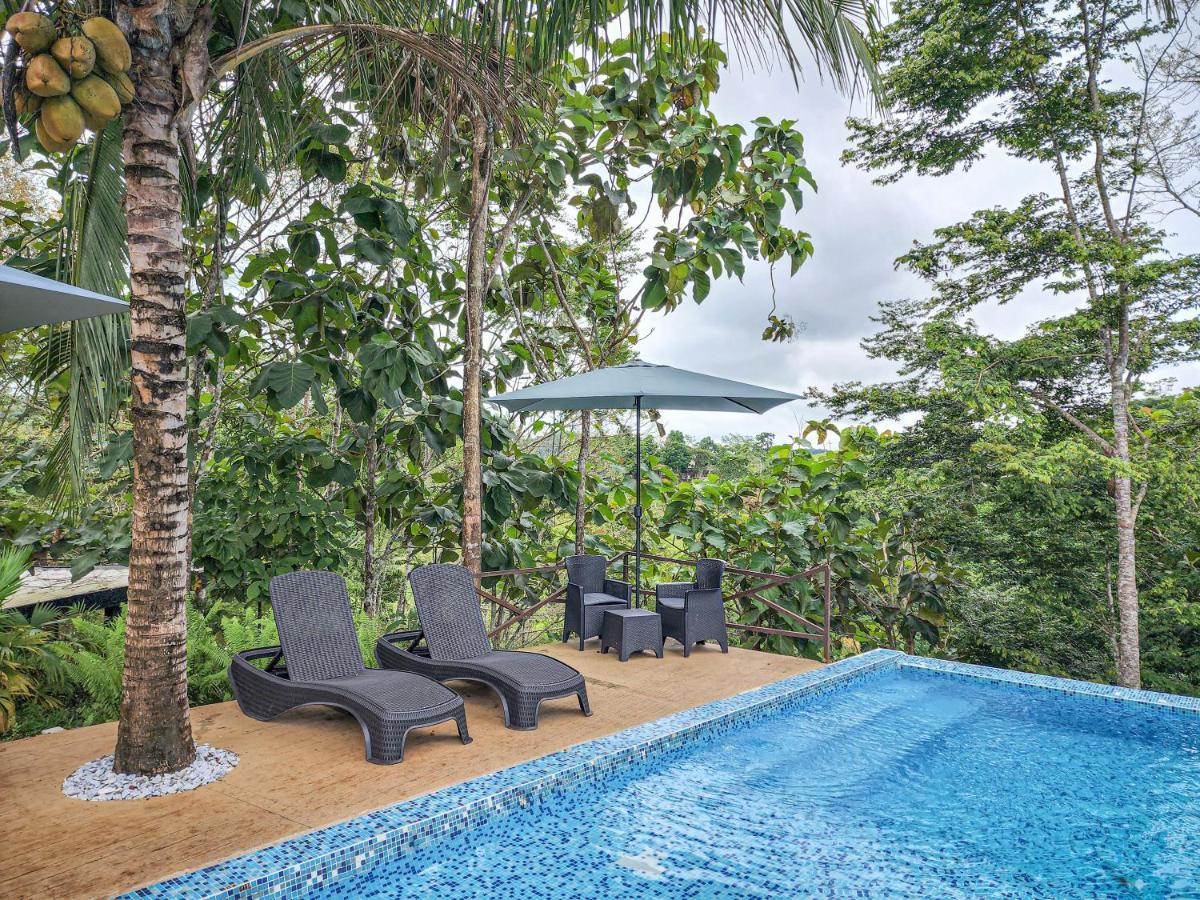 Hotel Madeira Boutique Doradal 외부 사진